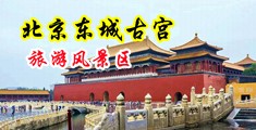 国人操逼视频中国北京-东城古宫旅游风景区